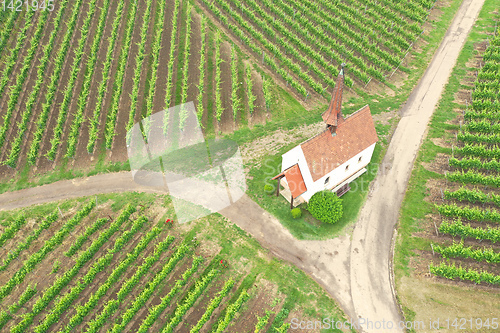 Image of aerial view vineyard scenery at Kaiserstuhl Germany