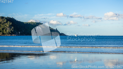 Image of Bay Of Plenty