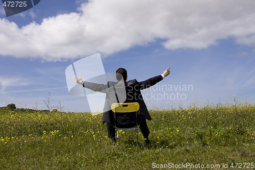 Image of Businessman relaxing in the field