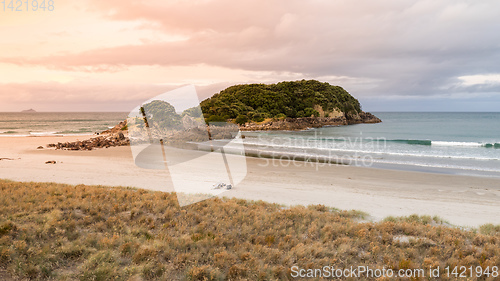 Image of Bay Of Plenty