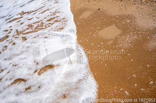 Image of shore detail at the sand beach in Italy