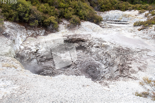 Image of geothermal activity at Rotorua in New Zealand