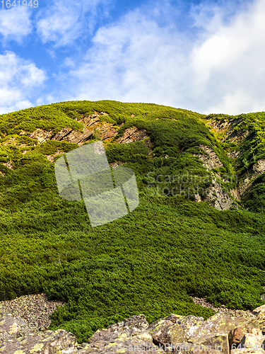 Image of Polish Tatra mountains summer landscape with blue sky and white clouds.