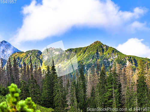 Image of Polish Tatra mountains summer landscape with blue sky and white clouds.