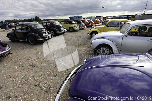 Image of VW Beetle cars