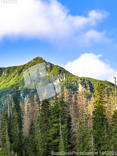 Image of Polish Tatra mountains summer landscape with blue sky and white clouds.