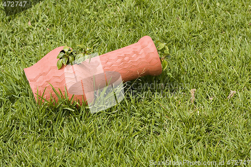 Image of Pot in the grass