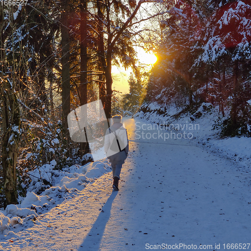 Image of Woman hiking on snow in white winter forest berore the sunset. Recreation and healthy lifestyle outdoors in nature