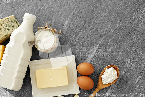 Image of different kinds of cheese, milk, yogurt and butter