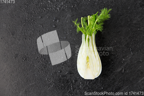 Image of fennel on table on slate stone background