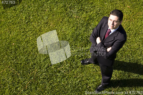 Image of Businessman in the grass