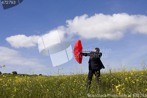 Image of The insurance agent