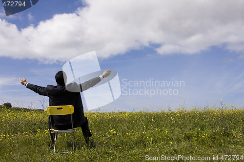 Image of Businessman relaxing in the field