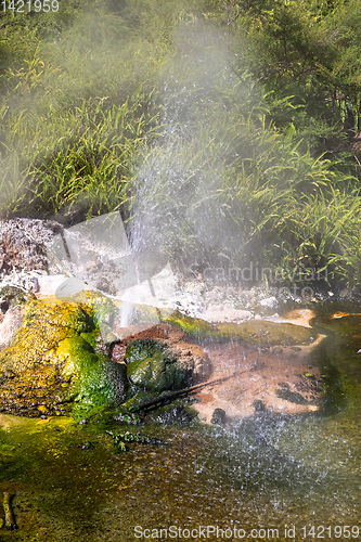 Image of volcanic activities at waimangu