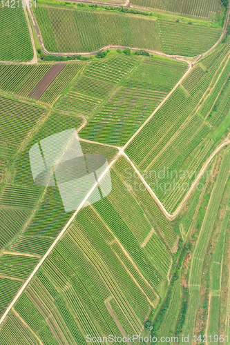 Image of aerial view vineyard scenery at Kaiserstuhl Germany