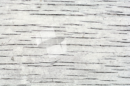 Image of Texture of grunge wood background closeup