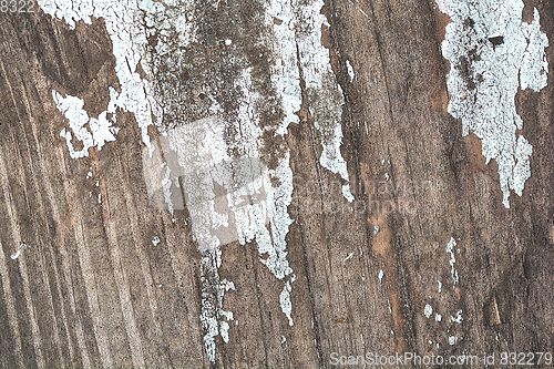 Image of Texture of grunge wood background closeup