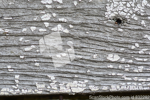 Image of Texture of grunge wood background closeup