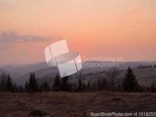 Image of forest sunset