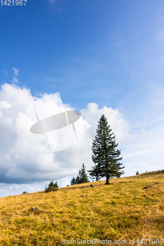 Image of landscape scenery near Freiburg Breisgau south Germany