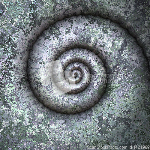 Image of petrification spiral