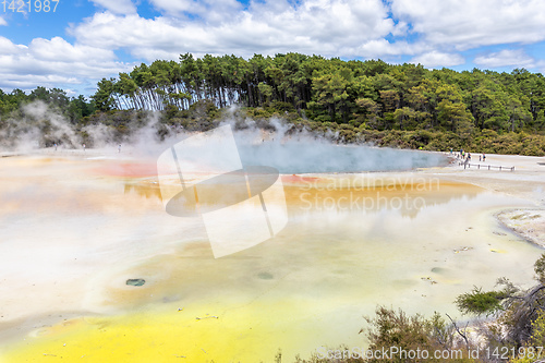 Image of geothermal activity at Rotorua in New Zealand