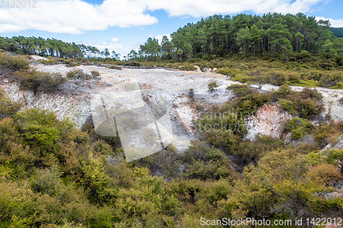 Image of geothermal activity at Rotorua in New Zealand