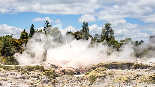 Image of Geyser in New Zealand Rotorua