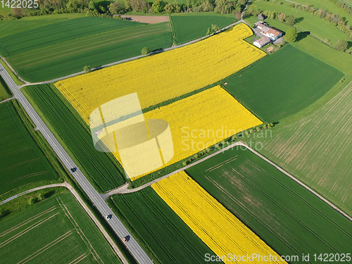 Image of flight over some rape fields in south Germany near Herrenberg