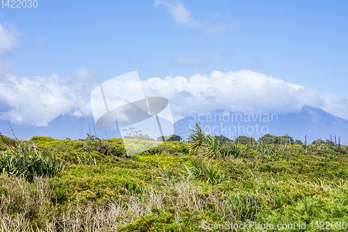 Image of Landscape scenery in south New Zealand