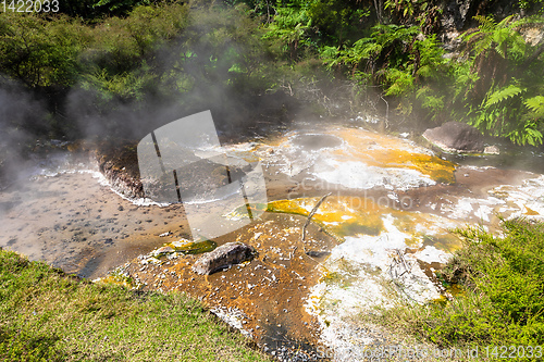 Image of volcanic activities at waimangu