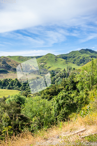 Image of typical rural landscape in New Zealand