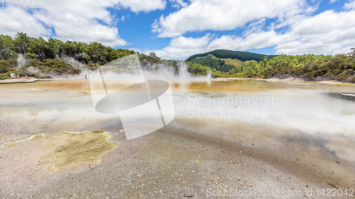 Image of geothermal activity at Rotorua in New Zealand