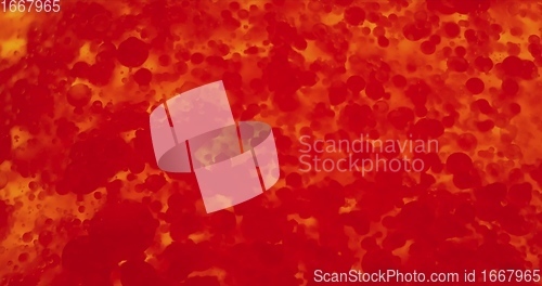 Image of Stream of red blood cells in glowing plasma closeup footage