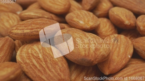 Image of Almond macro footage with camera motion