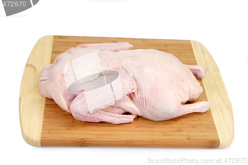 Image of Raw duck_2