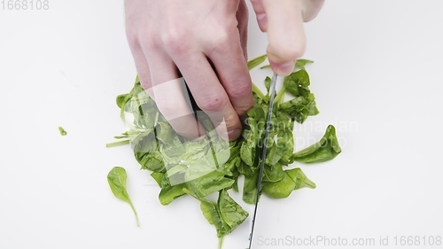 Image of Cutting up green fresh spinach