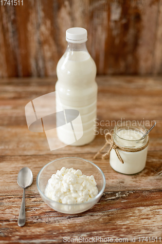 Image of milk, cottage cheese and homemade yogurt