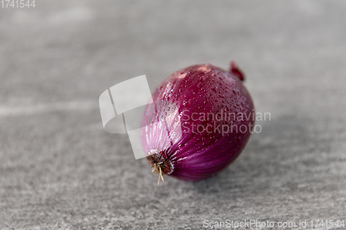 Image of close up of red onion on slate stone background