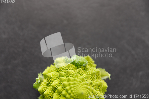 Image of close up of romanesco broccoli on slate stone