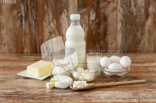 Image of milk, yogurt, eggs, cottage cheese and butter