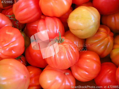 Image of Fresh red tomatoes