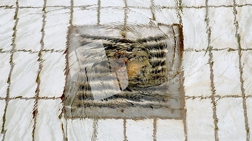 Image of Steel drain on tiled floor with water whirling