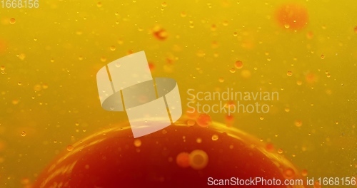 Image of Small red blood cells in fluid