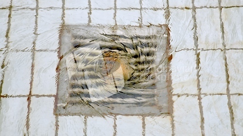 Image of Steel drain on tiled floor with water whirling