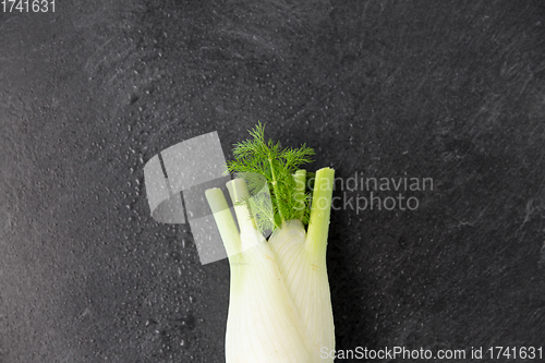 Image of fennel on table on slate stone background