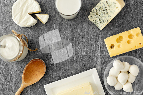 Image of different kinds of cheese, milk, yogurt and butter