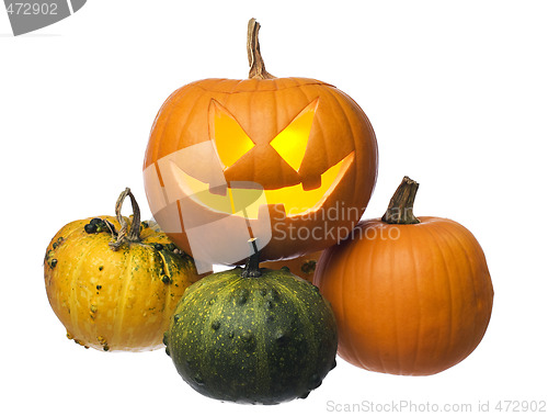 Image of pumpkin