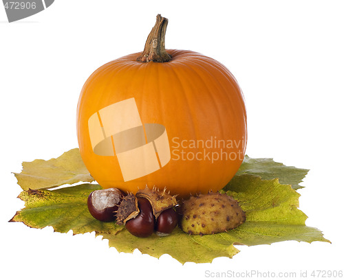 Image of pumpkin