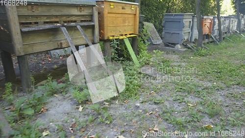 Image of Honey bees on a hive cluster